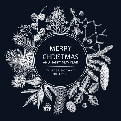Merry Christmas card on chalkboard with evergreen plants, conifers, and nuts drawing. Winter design with hand-drawn botanical illustrations. Vintage Christmas background, New Year invitation template